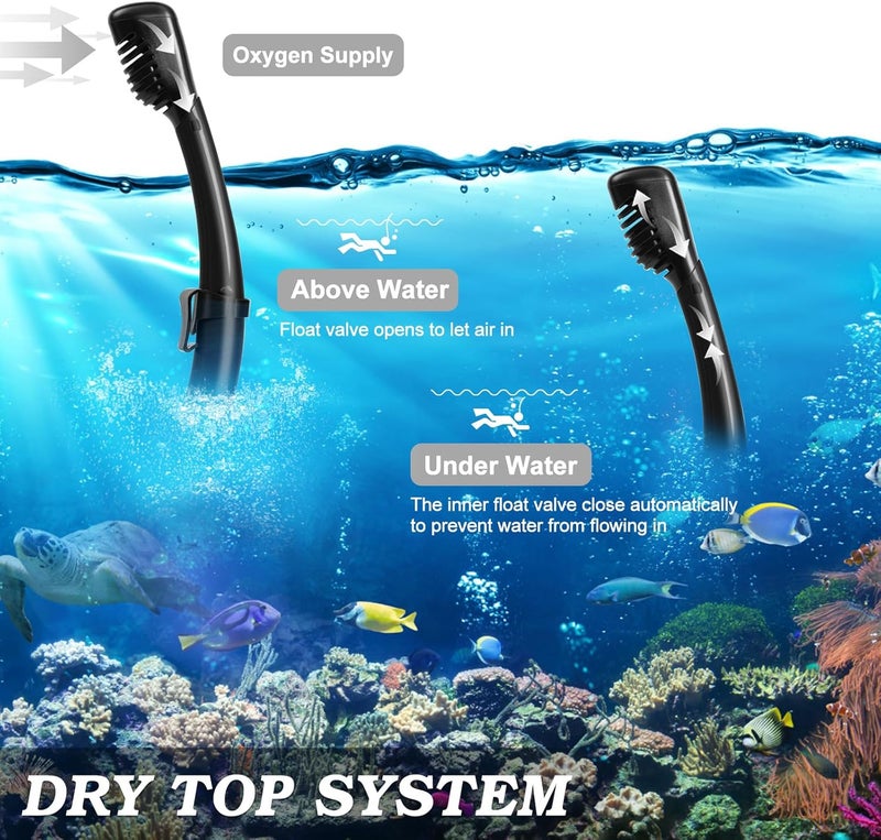 ACQCES Snorkeling Gear for Adults, Dry Top Snorkel Mask Set 2 Pack Scuba Diving Mask Snorkel Gear Anti Fog Snorkeling Packages Tempered Glass Panoramic View Nose Cover - Image 3